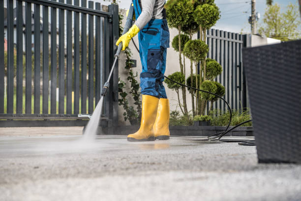 Best Roof Washing  in Lac Du Flambeau, WI